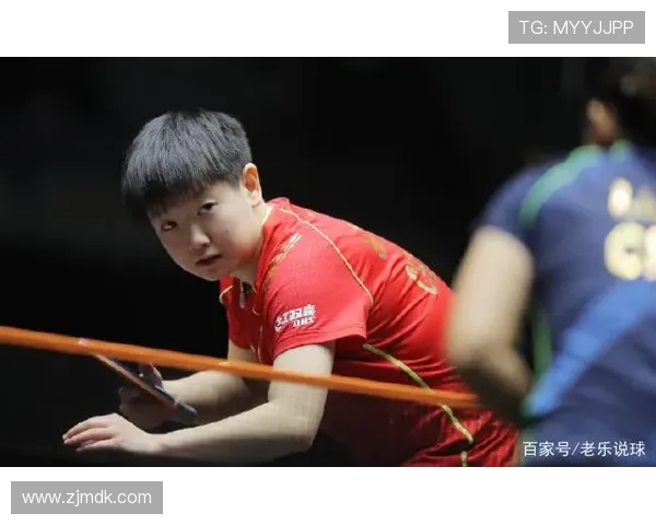 北京乒乓球队的训练节奏与比赛策略深度分析与探讨